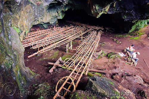 bamboo and rattan ladders used by bird's nests collectors - gua madai - madai cave (borneo), bamboo ladders, bird's nest, borneo, cave mouth, caving, gua madai, ida'an, idahan, madai caves, malaysia, natural cave, rattan, spelunking