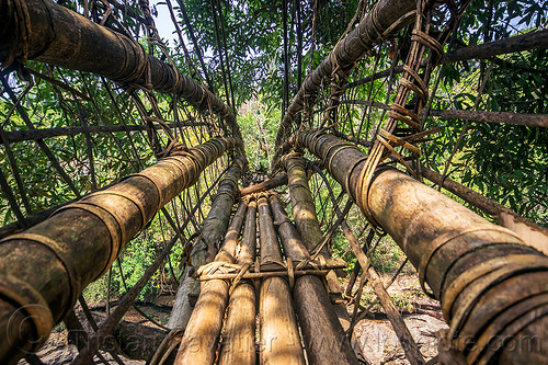 bamboo bridge - east khasi hills (india), bamboo bridge, east khasi hills, footbridge, jungle, mawlynnong, meghalaya, rain forest, river