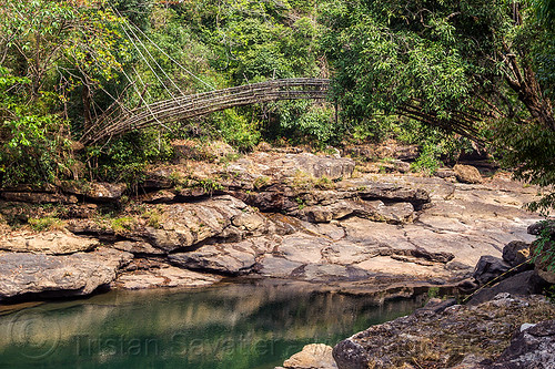 bamboo bridge over river (india), bamboo bridge, east khasi hills, footbridge, jungle, mawlynnong, meghalaya, rain forest, river