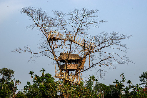bamboo tree house - mawlynnong (india), bamboo, east khasi hills, mawlynnong, meghalaya, tree house