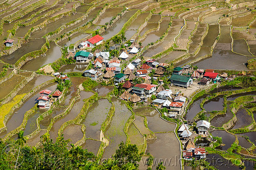 batad village on rice terraces near banaue (philippines), agriculture, banaue, batad, landscape, rice fields, rice paddies, rice paddy fields, terrace farming, terraced fields, valley, village