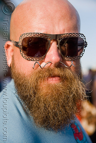 bearded man with sunglasses and nose piercing - dusti cunningham aka diablodivine, bald head, beard, diablodivine, dusti cunningham, man, nose piercing, septum piercing, sunglasses