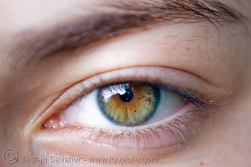 beautiful eye - iris freckles, beautiful eyes, closeup, eye freckles, eyelashes, iris freckles, left eye, specked iris, spots, woman