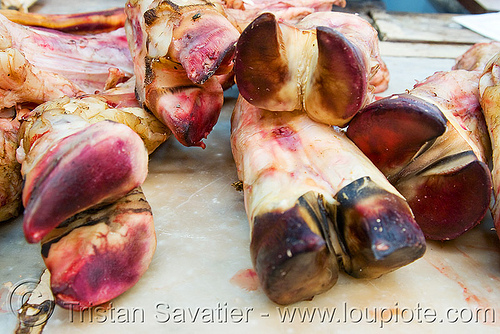 beef feet at meat market (argentina), argentina, beef, butcher, feet, meat market, meat shop, mercado central, noroeste argentino, raw meat, salta
