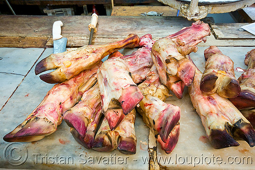 beef feet on butcher staff, argentina, beef, butcher, feet, meat market, meat shop, mercado central, noroeste argentino, raw meat, salta