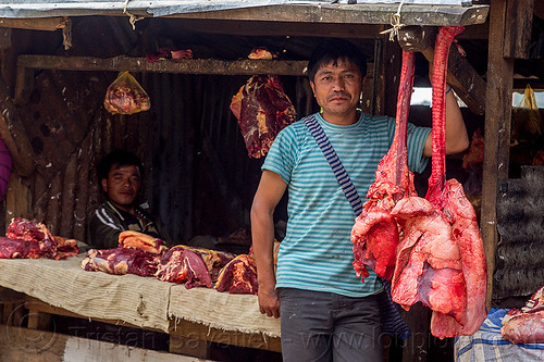 beef lungs hanging at meat market (india), beef lungs, butcher, east khasi hills, hanging, indigenous, meat market, meat shop, meghalaya, men, pynursla, raw meat