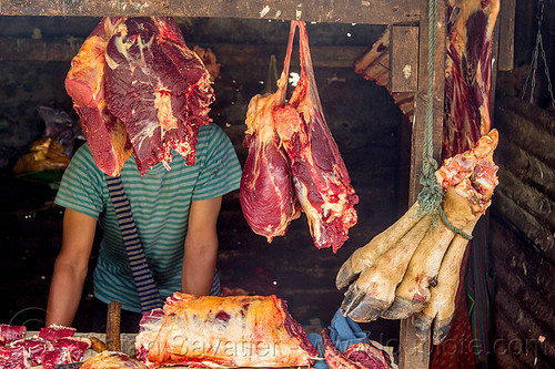 beef meat and cow feet hanging at meat market (india), beef, butcher, cow feet, east khasi hills, hanging, meat market, meat shop, meghalaya, pynursla, raw meat
