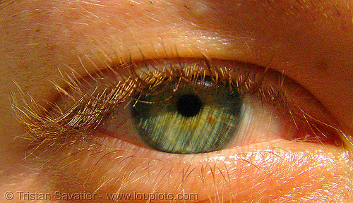 bibi's green eye, beautiful eyes, bibi, closeup, eye color, eyelashes, green eyed, green eyes, iris, woman