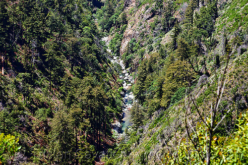 big sur river valley - vantana wilderness, big sur river, canyon, forest, gorge, hiking, pine ridge trail, stream, trees, trekking, v-shaped valley, vantana wilderness