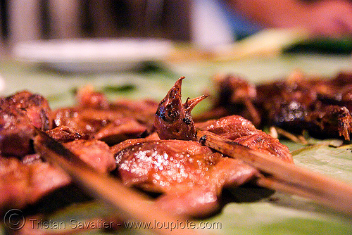 birds on a stick - luang prabang (laos), beak, bird head, birds, brochette, cooked, food, luang prabang, quails, roasted, stick