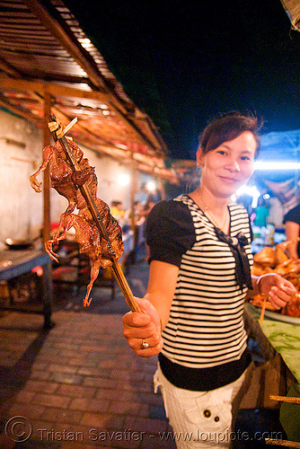 birds on a stick - luang prabang (laos), birds, brochette, cooked, food, luang prabang, quails, roasted, stick
