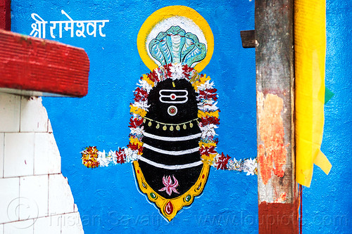 black lingam - five headed naga snake - hindu symbolism (india), cobra, five-headed, flowers, hindu temple, hinduism, naga snake, nāga snake, painting, shiva linga, shiva lingam, shivling, symbol, symbolism, vasuki