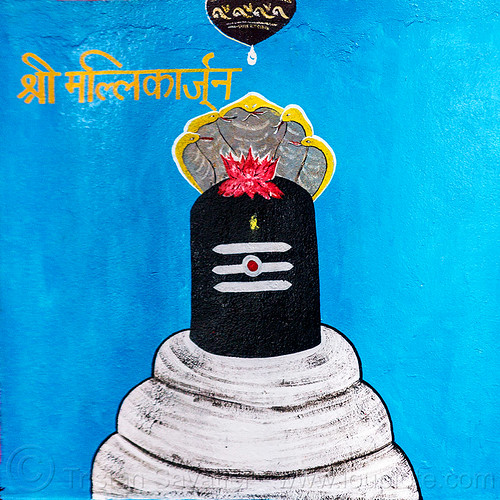 black lingam - lotus flower and five-headed naga snake - hindu symbolism (india), cobra, five-headed, hindu temple, hinduism, lotus flower, naga snake, nāga snake, painting, shiva linga, shiva lingam, shivling, symbol, symbolism, vasuki, water droplet