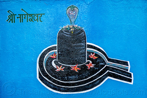 black lingam - naga snake - hindu symbolism (india), cobra, five-headed, flowers, hindu temple, hinduism, naga snake, nāga snake, painting, shiva linga, shiva lingam, shivling, symbolism, vasuki