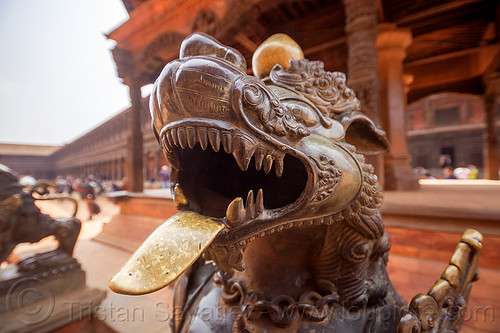 brass lion sticking tongue out - bhaktapur durbar square (nepal), bhaktapur, brass, durbar square, head, hinduism, sculpture, statue, sticking out tongue, sticking tongue out, teeth