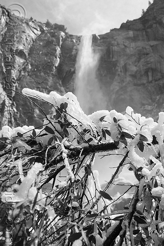 bridalveil waterfall (yosemite), branches, bridalveil falls, cliff, frozen, ice, mountain, snow, tree, waterfall, winter, yosemite national park