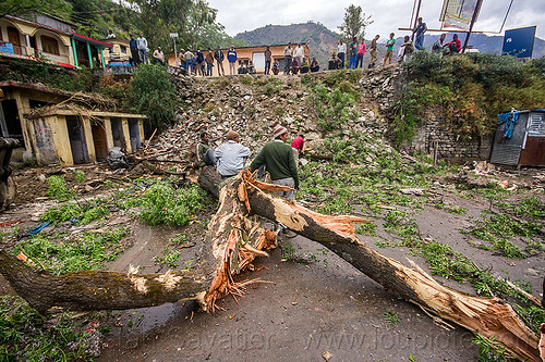 broken tree and damage after storm (india), bhagirathi valley, broken tree, fallen, men, road, storm damage, village