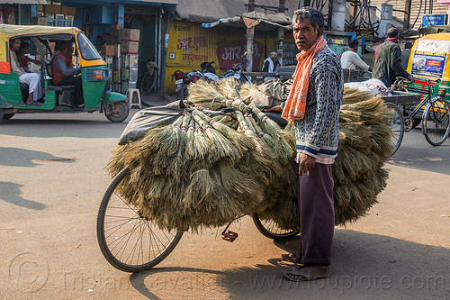 broomsticks street vendor and bicycle (india), bicycle, bike, brooms, broomsticks, cargo, freight, load bearer, man, merchant, street seller, street vendor, transporting, varanasi, wallah