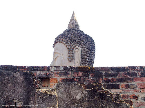 พระพุทธรูป - buddha head statue - อุทยาน ประวัติศาสตร์ สุโขทัย - เมือง เก่า สุโขทัย - sukhothai - thailand, bricks, buddha image, buddha statue, buddhism, buddhist temple, head, sculpture, sukhothai, wat, พระพุทธรูป, อุทยาน ประวัติศาสตร์ สุโขทัย, เมือง เก่า สุโขทัย