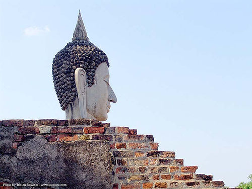 พระพุทธรูป - buddha's head - statue - อุทยาน ประวัติศาสตร์ สุโขทัย - เมือง เก่า สุโขทัย - sukhothai - thailand, bricks, buddha image, buddha statue, buddhism, buddhist temple, head, sculpture, sukhothai, wat, พระพุทธรูป, อุทยาน ประวัติศาสตร์ สุโขทัย, เมือง เก่า สุโขทัย