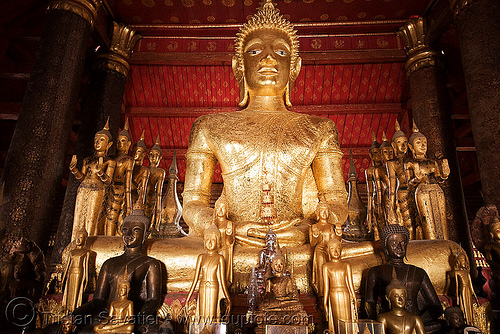 buddha statues in temple - luang prabang (laos), buddha image, buddha statue, buddhism, buddhist temple, cross-legged, golden color, luang prabang, sculpture