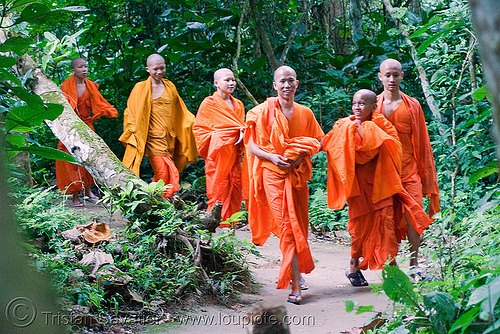 buddhist monks - luang prabang (laos), bhagwa, buddhism, buddhist monks, children, jungle, kids, kuang si falls, luang prabang, men, novice, orange, park, saffron color