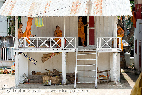 buddhist monks - luang prabang (laos), buddhist monks, luang prabang, temple