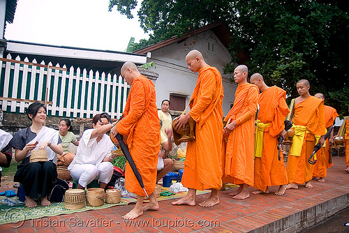 buddhist monks receiving alms - luang prabang (laos), bhagwa, buddhism, buddhist monks, dawn, luang prabang, men, orange, rice, saffron color