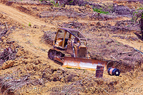 bulldozer used for deforestation (borneo), borneo, bulldozer, deforestation, environment, logging, malaysia