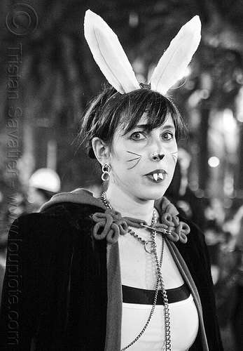 bunnicula costume - halloween (san francisco), bunny ears, costume, embarcadero, halloween, journey to the end of the night, vampire teeth, woman