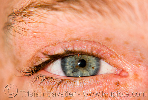 burning man - eye - gabrielle, beautiful eyes, closeup, eye color, eyelashes, freckles, iris, spots, woman