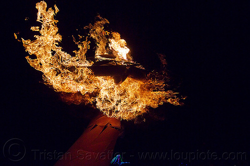 burning man - fire mushroom - xylophage, art installation, burning man at night, fire, mushrooms, sculpture, xylophage