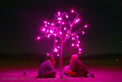 burning man - pink tree at night - digital hanami, art installation, burning man at night, digital hanami, doug weigel, glowing, ludwig, pink, tree
