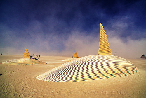 burning man - pod of desert orcas, art installation, orca project, orcas, sculpture