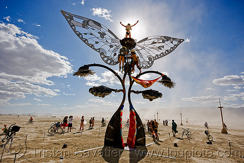 burning man - portal of evolution - butterfly, art installation, backlight, bryan tedrick, butterfly, portal of evolution