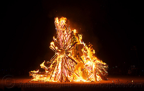 burning man - zoa burning, burning man at night, fire, flux fundation, zoa