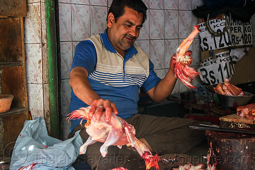 butcher dismembering a chichen, bird, blood, butcher, chicken meat, delhi, dismembering, halal, man, meat market, meat shop, meat shot, poultry, raw meat, skinning