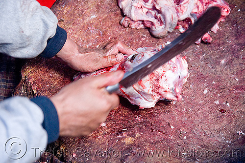 butcher extracting brain from goat skull, butcher knife, chevon, cleaver, goat head, goat meat, halal meat, ladakh, leh, meat market, meat shop, mutton, raw meat, skull, लेह