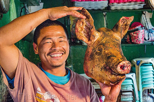 butcher holding singed pig head (philippines), baguio, butcher, man, meat market, pig head, pork, raw meat