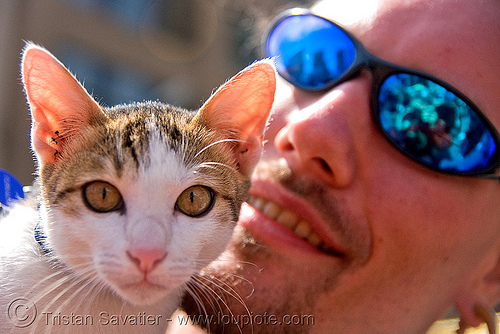 cat and his master - how weird street faire (san francisco), cat, guy, hears, man, master, sunglasses