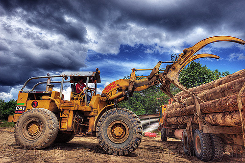 caterpillar 966c unloading logging truck, at work, borneo, cat 966c, caterpillar 966c, clouds, cloudy sky, deforestation, environment, front loader, logging camp, logging forks, logging truck, lorry, malaysia, tree logging, tree logs, tree trunks, wheel loader, working, yellow