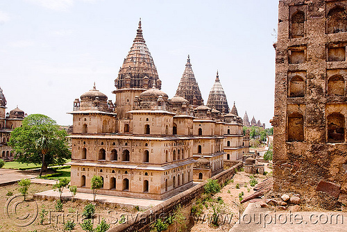 cenotaph ruins - orchha (india), architecture, cenotaphs, monument, orchha, ruins, temple