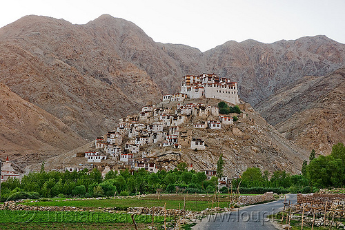 chemrey gompa - road to pangong lake - ladakh (india), chemrey gompa, hill, ladakh, landscape, mountains, tibetan monastery