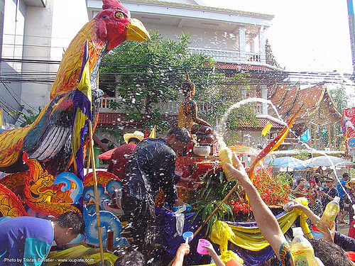 เชียงใหม่ - chiang mai - สงกรานต์ - songkran festival (thai new year) - thailand, carnival float, chiang mai, chicken, cockbird, rooster, soaked, songkran, thai new year, wet, สงกรานต์, เชียงใหม่