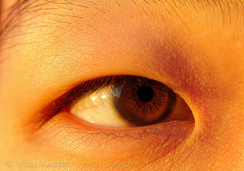 chinese eye, asian woman, beautiful eyes, chinese woman, closeup, eye color, iris