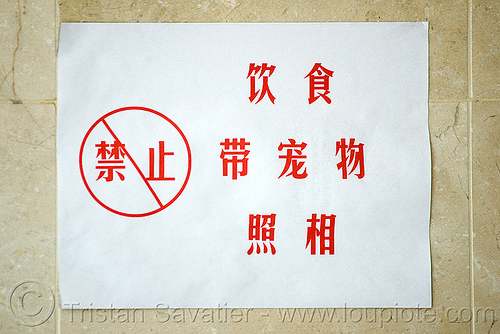 chinese sign says "no photos", chinese, no photography, posted, sign
