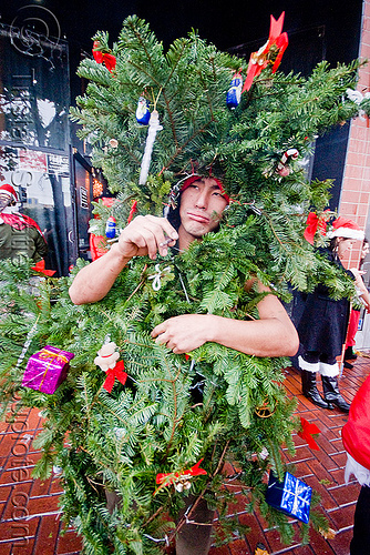 christmas tree costume - santacon, christmas tree, costume, man, santa claus, santacon, santarchy, santas, takamuro, the triple crown