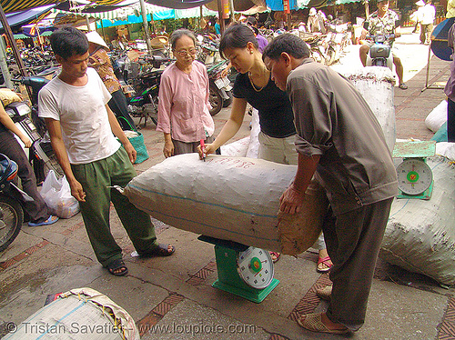 cinnamon bulk bag on scale - vietnam, bag, bulk, chợ đồng xuân, cinnamon, dong xuan market, hanoi, merchant, scale, vendor, weighting