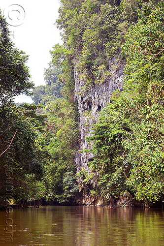 cliff - melinau river - mulu (borneo), borneo, cliff, gunung mulu national park, jungle, malaysia, melinau river, rain forest, sungai melinau