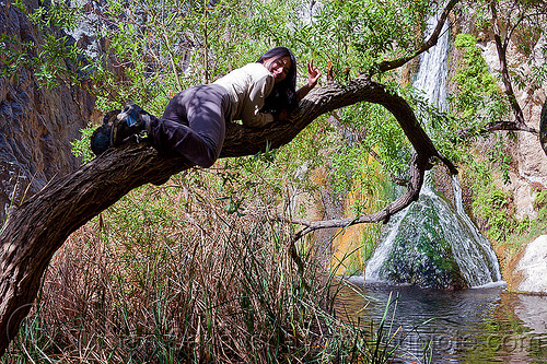 climbing a tree at darwin falls, darwin falls, death valley, tree, waterfall, woman